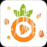 菠萝视频直播：畅享精彩互动时光